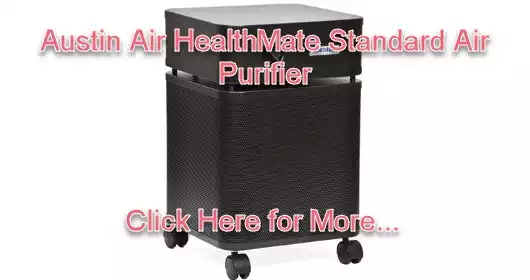 Austin Air Healthmate Jr. Air Purifier Review